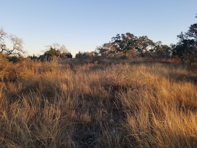169 Acres W Beautiful Sunset Views, Sisterdale, TX 78006 - photo 3