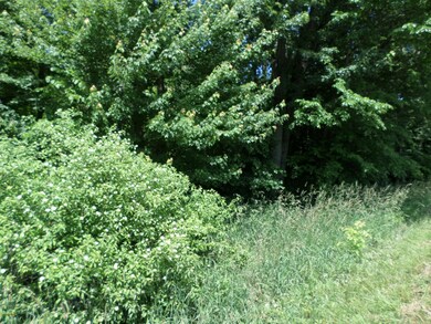 0 Calvin Hill St unit 18027304, Cassopolis, MI 49031 - photo 5