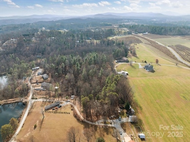 99999 Twin Lakes Dr, Dana, NC 28731 - photo 4