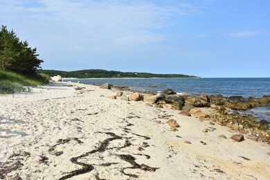 56 Boghouse Way, Vineyard Haven, MA 02568 - photo 2