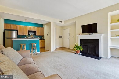 12150 Penderview Terrace unit 1325, Fairfax, VA 22033 - photo 7