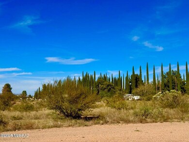 TBD International Ave 4 24 Acres, Douglas, AZ 85607 - photo 3