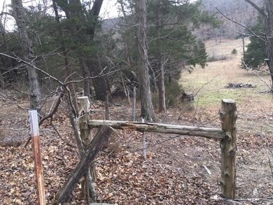 TBD Rothrock Rd, Elkins, AR 72727 - photo 6