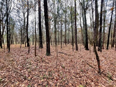 2234 Corinth Rd, Gaffney, SC 29340 - photo 7