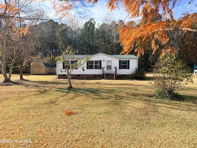 123 Bowles Place Dr, Como, NC 27818 - photo 2