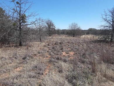 317 County Road 4884, Boyd, TX 76023 - photo 6