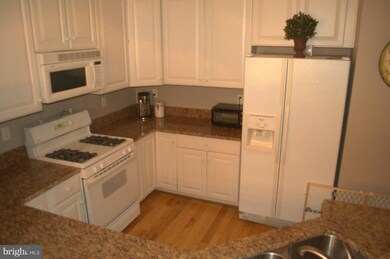 2580 Running Wolf Trail, Odenton, MD 21113 - photo 7