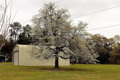 HUGE DOGWOOD IN FULL BLOOM
