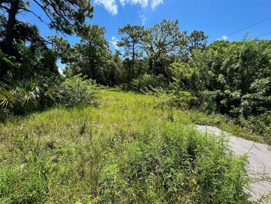 18904 Craig Loop, Hudson, FL 34667 - photo 7