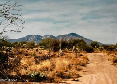 14943 W Parkin Ln, Three Points, AZ 85736 - photo 6