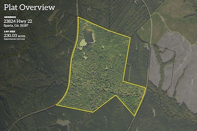 23824 Georgia 22, Sparta, GA 31087 - photo 2