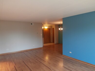 11045 S Theresa Cir unit 2A, Palos Hills, IL 60465 - photo 6