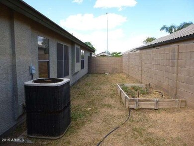 BACKYARD (1)