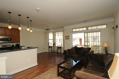 46353 Pryor Square, Sterling, VA 20165 - photo 5