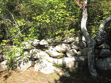 5 Redwing Ln, Chilmark, MA 02535 - photo 5