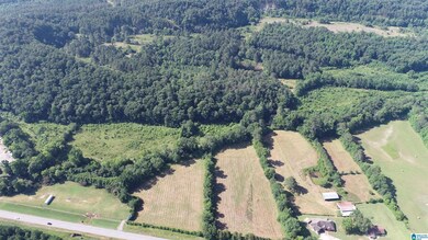 0 U S 231 unit 21390285, Oneonta, AL 35121 - photo 6