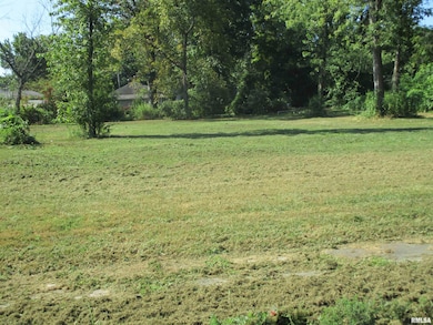 0000 Buchanan St, Benton, IL 62812 - photo 2