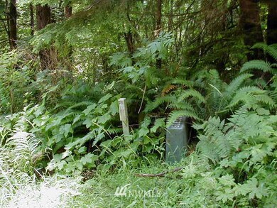 unlisted-address, Raymond, WA 98577 - photo 4