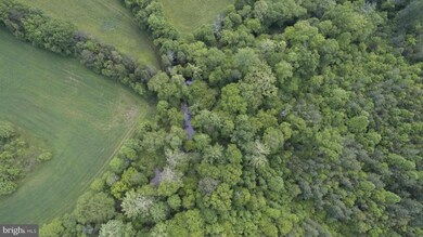 14334 Cooper Ln, Unionville, VA 22567 - photo 4