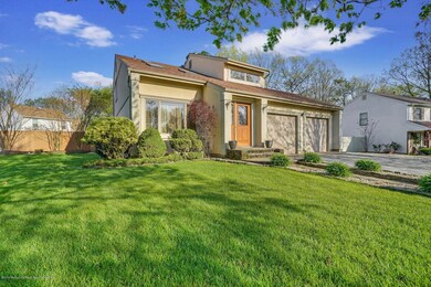 Spectacular lawn