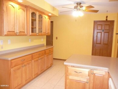 209 Shippee Rd, Lena, IL 61048 - photo 5