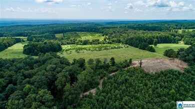 Looking South from the property