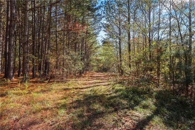 76 Paul Smith Rd, Covington, GA 30014 - photo 6