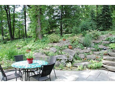 Yard/Garden.