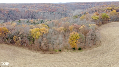 0000 Polston Ln, Hickory Grove Township, MO 63357 - photo 2