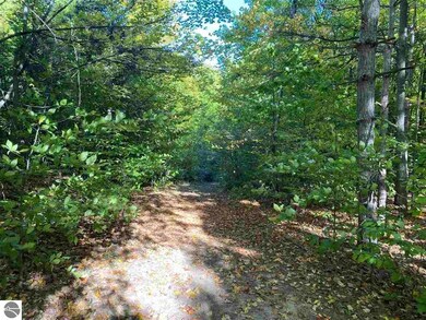 00 E Harrys Rd, Traverse City, MI 49684 - photo 3