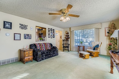 Living area with carpet, ceiling fan, and a textured ceiling