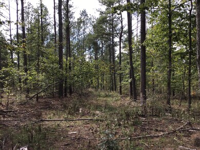 0 Sassafras Ridge Rd unit 1999753, Linden, TN 37096 - photo 3