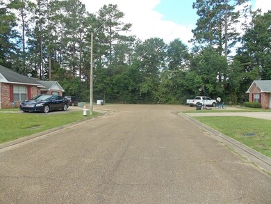 000 White St, McComb, MS 39648 - photo 5