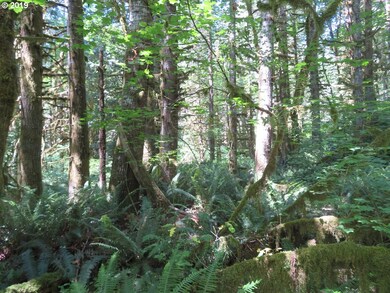 0 Deer Park Ln unit 20 19039654, Toledo, WA 98591 - photo 3