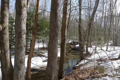 0 Tamarack Trail unit 1409037, Camden, ME 04843 - photo 2