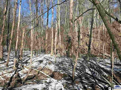 0 W Towpath Rd unit 106189, Delphi, IN 47926 - photo 6