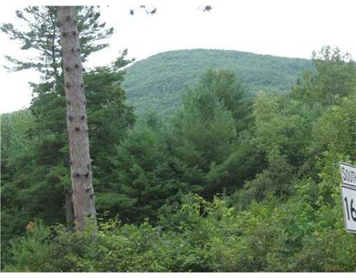 View. Views of Burnt Meadow Mountain...