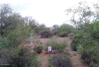 Picture 7