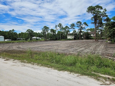 Xxxxx 86th St N, the Acreage, FL 33470 - photo 3