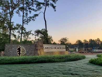 8213 Chai Ct, Magnolia, TX 77354 - photo 5