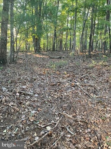 0 Nelson Way unit VASH2001076, Basye, VA 22810 - photo 4