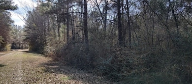 NHN Pecan Dr, Lumberton, MS 39455 - photo 7