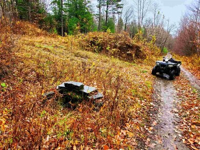 1730 Kittridge Pasture Rd, Reading, VT 05062 - photo 4