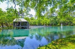 87 Litchfield Ln, Houston, TX 77024 - photo 5