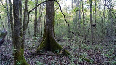 0 Sumatanga Rd, Steele, AL 35987 - photo 3