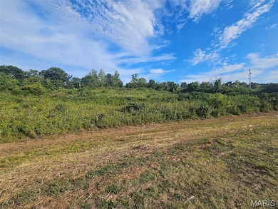 0 Herculaneum Crossing unit MIS25061706, Herculaneum, MO 63048 - photo 2