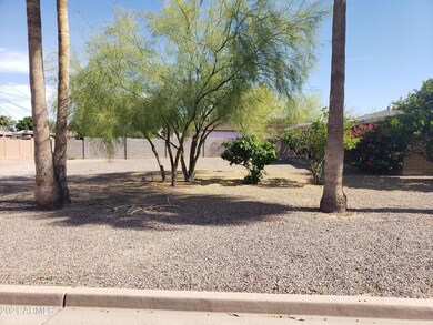 vail royal palm