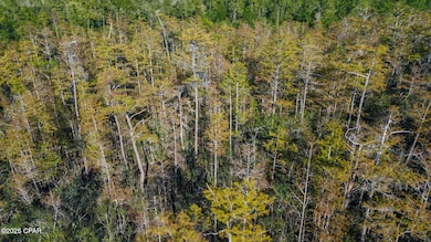 TBD Broadview Ave, Alford, FL 32420 - photo 5