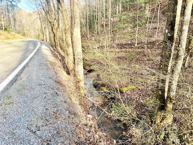 12 ACRE Pleasant Gap Rd, Ellijay, GA 30540 - photo 2