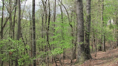 0 Palisade Dr unit 1226674, Ellijay, GA 30540 - photo 3